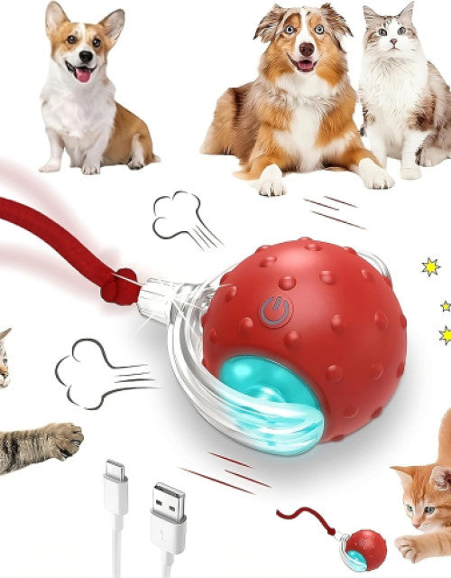Dog Ball Toy Electric Fun Ball Toy for Cats Dogs