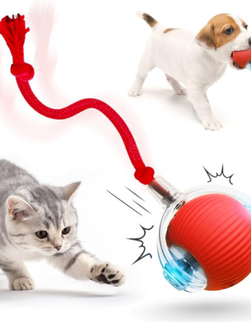 Dog Ball Toy Electric Fun Ball Toy for Cats Dogs