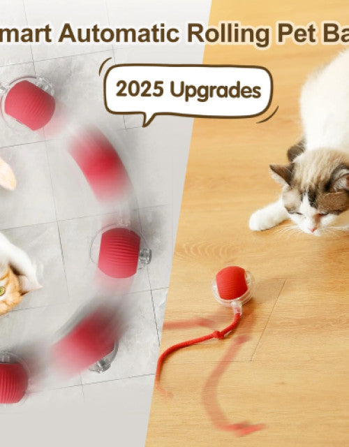 Dog Ball Toy Electric Fun Ball Toy for Cats Dogs