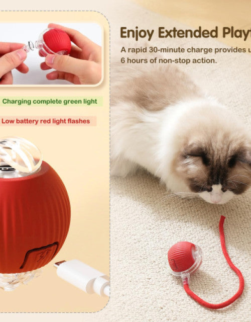 Dog Ball Toy Electric Fun Ball Toy for Cats Dogs
